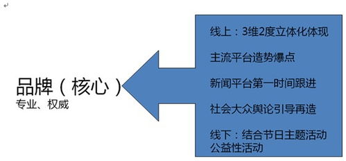 華夏品牌整合營(yíng)銷運(yùn)營(yíng)戰(zhàn)略規(guī)劃與項(xiàng)目營(yíng)銷策劃方案